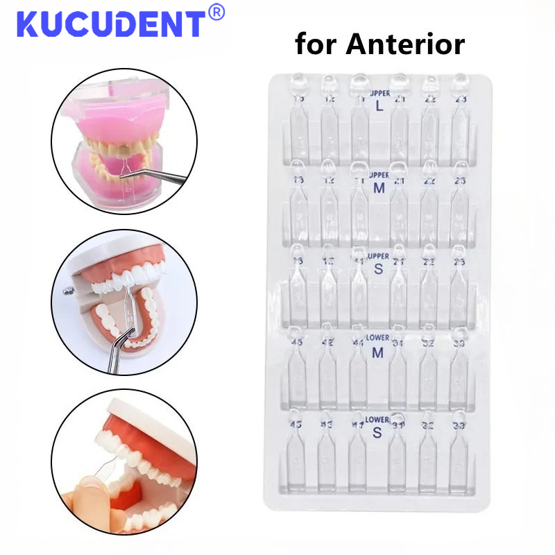 Teeth Whitening Moulds - 30pcs/Set Dental Veneer Mould Anterior Front