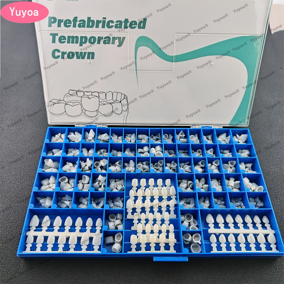 Teeth Whitening Moulds - 1Set Dental Premolar Molars Anterior Cuspid